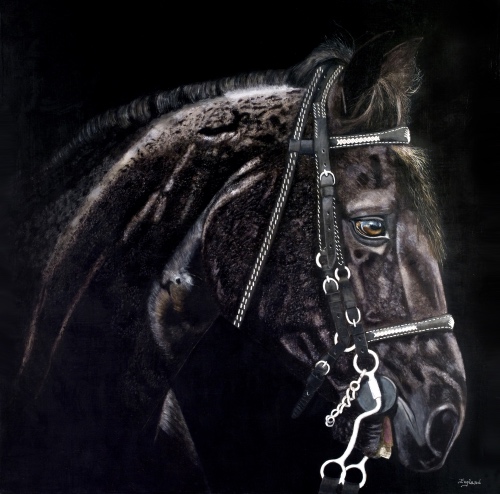 horse portrait by Jacqueline England