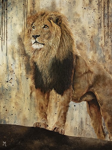 Lion portrait by Julie Morel