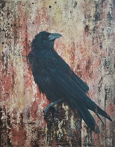 crow portrait by Julie Morel