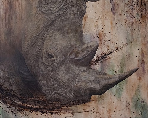 rhinocerous portrait by Julie Morel