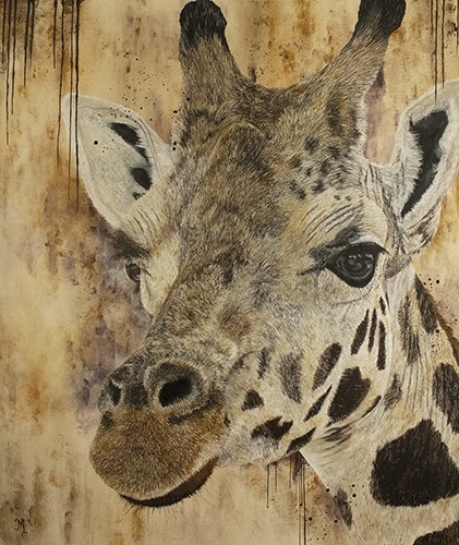 giraffe portrait by Julie Morel