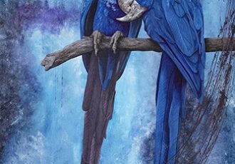 Portrait of Hyacinth Macaws by Julie Morel