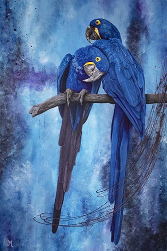 Portrait of Hyacinth Macaws by Julie Morel