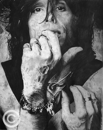 portrait of Steven Tyler by Dianne Meinke