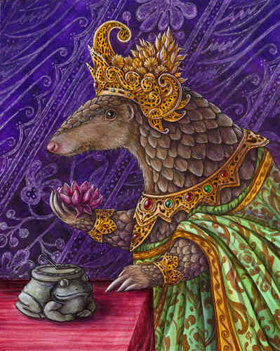 armadillo portrait by Ellen Paquette