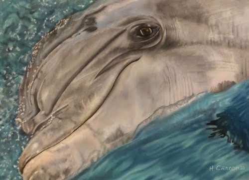 pastel of a dolphin by Holly Cannon