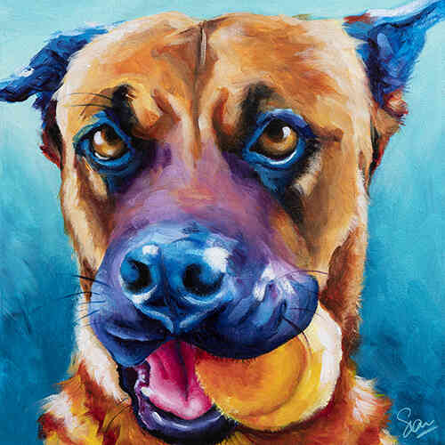 dog portrait by Sian Pampellonne