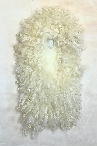 appeso a parete in lana di Cheryl Janis