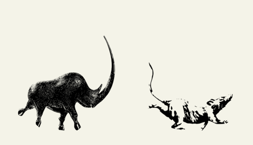 screenprint of animals by Jezdimir Milosevic