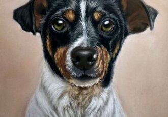 dog portrait by Sandra Harris