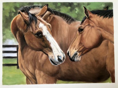 horse portrait by Sandra Harris