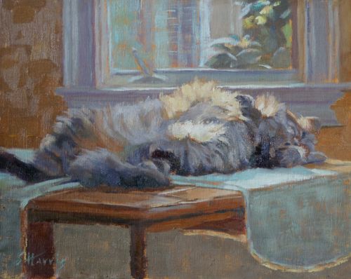 cat portrait by Sandra Harris