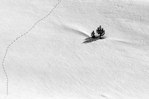 fotografia di paesaggio in bianco e nero di Mark Basterfield