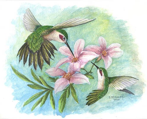 floral and hummingbird watercolor by Carl McKinley