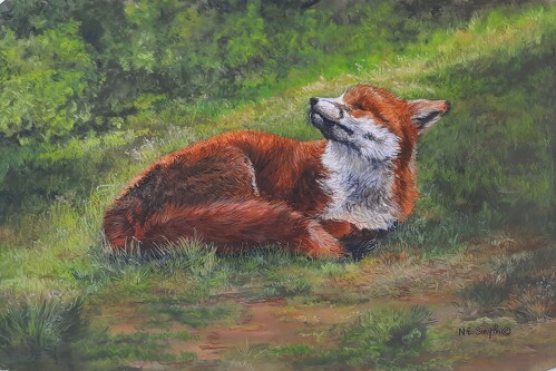pastel fox portrait by Nancy Smyth