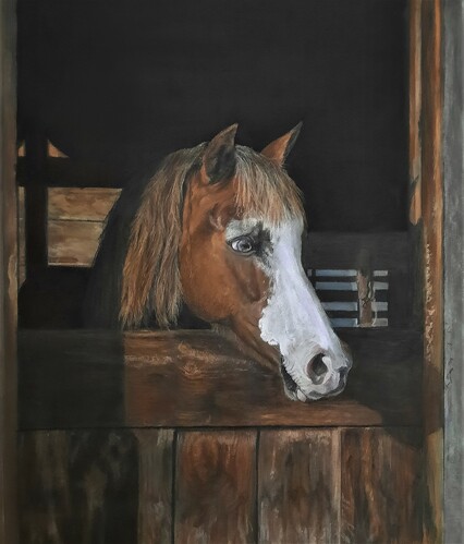 pastel horse portrait by Nancy Smyth