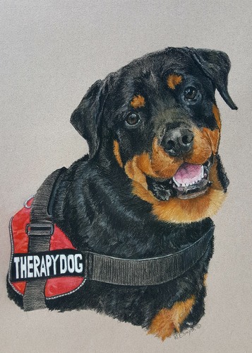 pastel dog portrait by Nancy Smyth