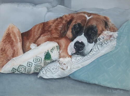 pastel dog portrait by Nancy Smyth
