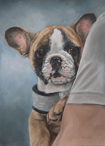 pastel portrait of a dog by Nancy Smyth