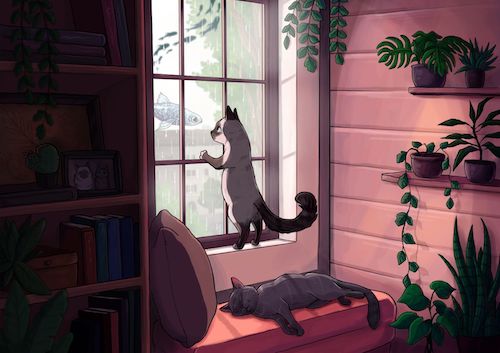 illustrazione di un gatto in una finestra