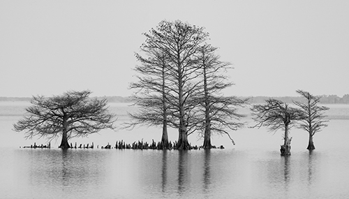 fotografia di paesaggio di Sheryl Ball