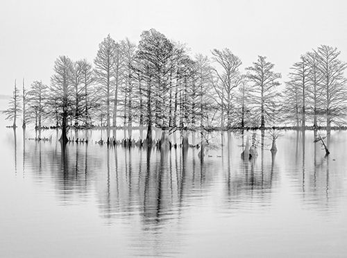 fotografia di paesaggio di Sheryl Ball