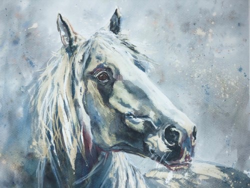 painted horse portrait by Teresa Brown