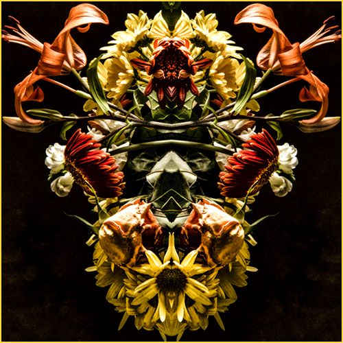 digital floral photography by Carl Kravats