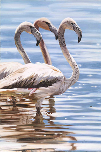 painting of flamingos by Janette Doyle