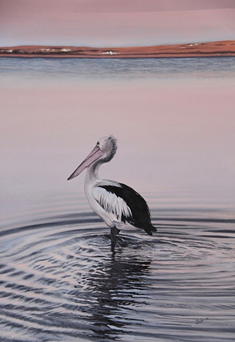 painting of a pelican by Janette Doyle