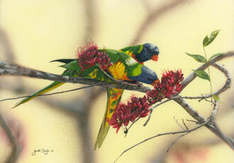 painting of Lorikeets by Janette Doyle