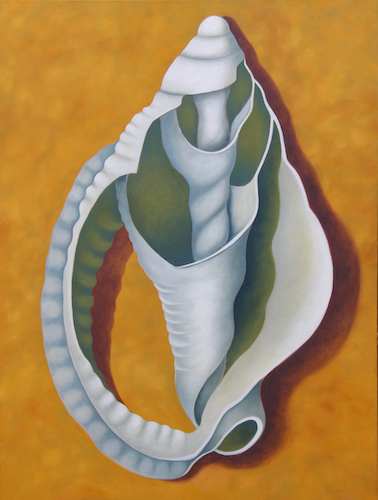 painting of a seashell by Margaret Biggs