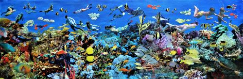 underwater scene collage by Ann Schwartz