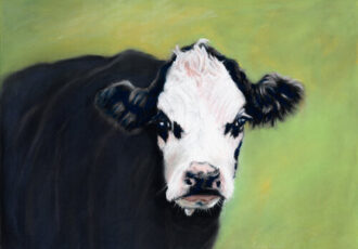 pastel of a cow by Cindy Berceli