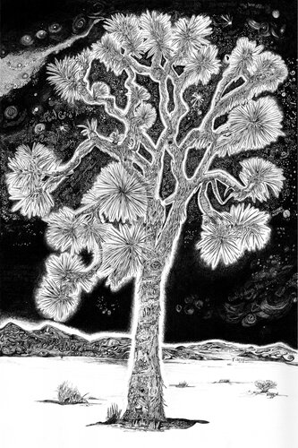 pen and ink drawing of a tree