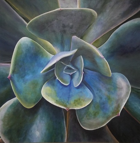 painting of a succulent by Lynda Sauls