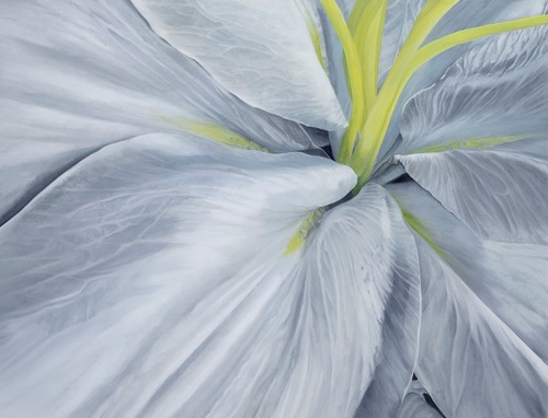 oil painting macro floral closeup