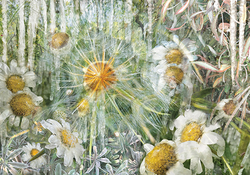 Ethereal floral landscape by digital artist Allison Inglesby