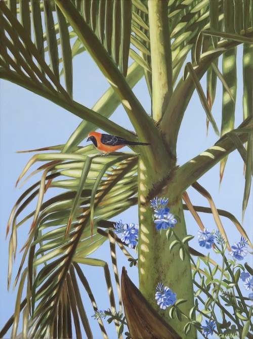 oil painting of an oriole in a palm tree