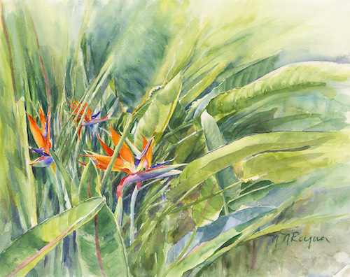 Watercolor of bird of paradise plants