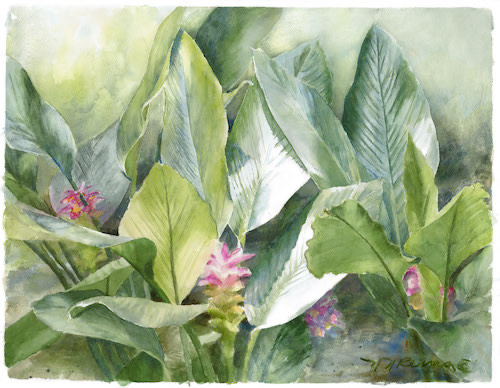watercolor of tropical plants