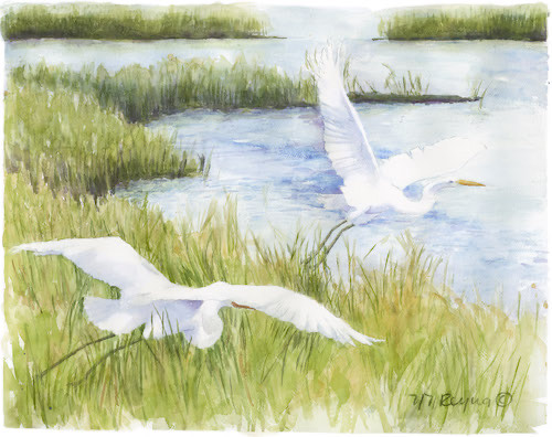 watercolor painting of egrets soaring over water