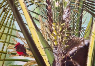 oil painting of a flycatcher in a palm tree