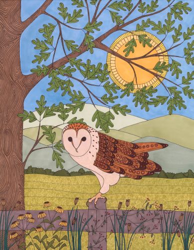 drawing of an owl in a tree