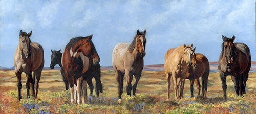 Painting of a herd of horses by Rachel Hurst