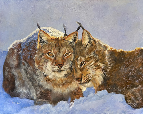 painting of two bobcats by Rachel Hurst