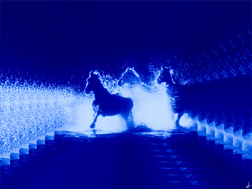 Photo of horses running at night