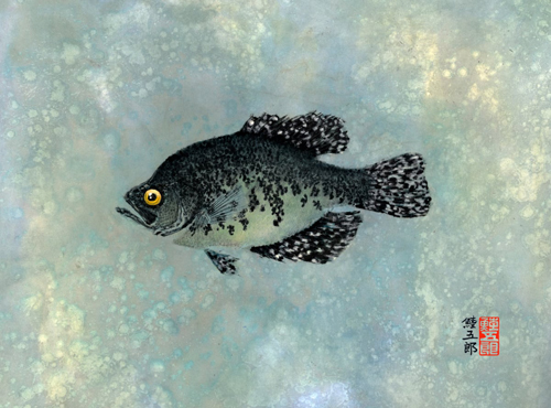 Artwork print of a fish from Lake Okeechobee