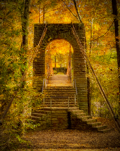 dramatic photo of an arch way in the woods