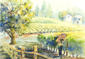 watercolor of a vineyard in sunlight by Tim Gault